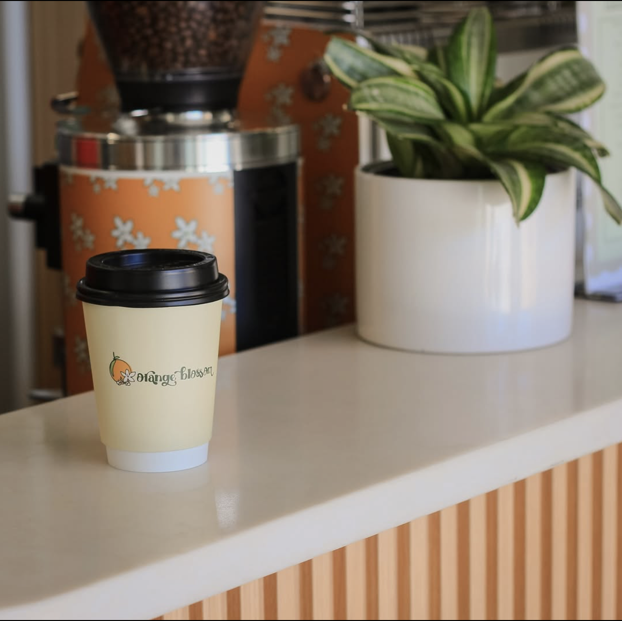 Orange Blossom Coffee interior